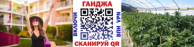 Купить  Чебаркуль  Каннабис Amnesia 